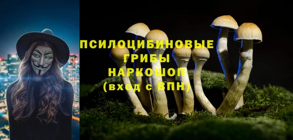 гашиш Карпинск