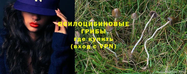 мяу мяу мука Нестеровская