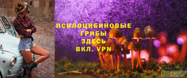 a pvp Касимов